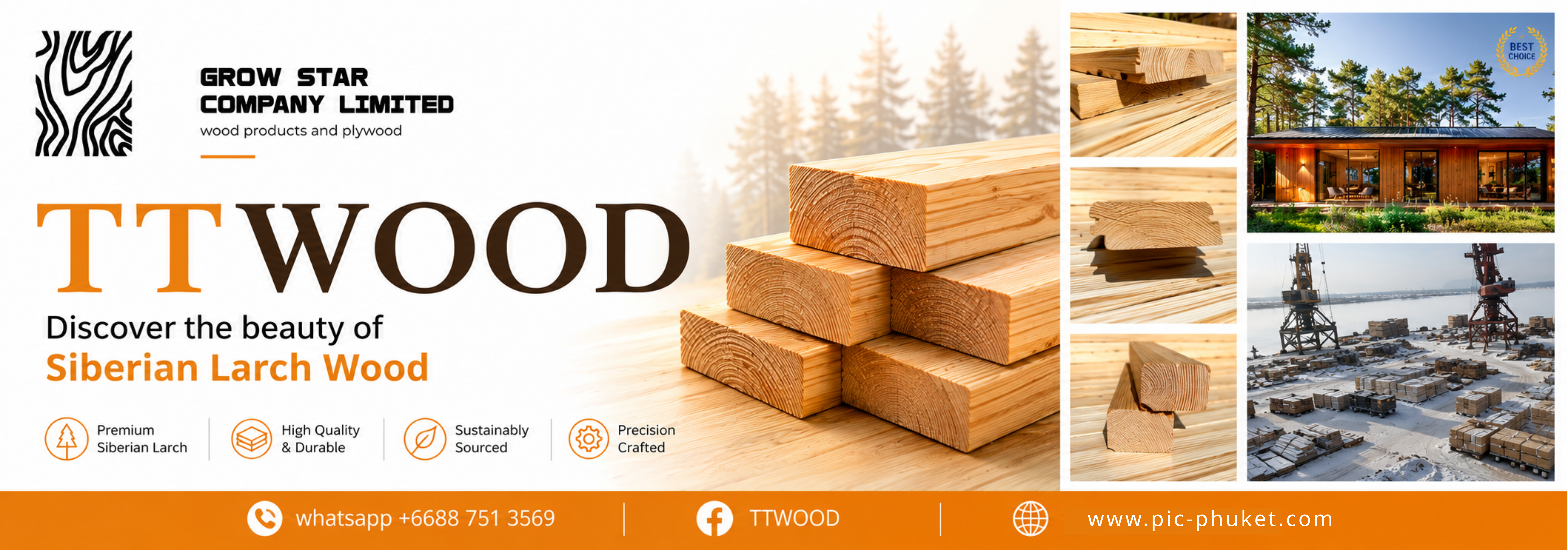 TTWood